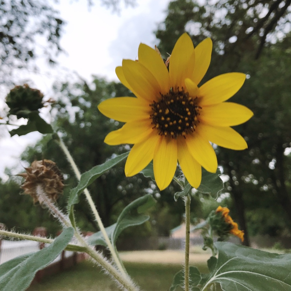 Meet your Posher, Maegan